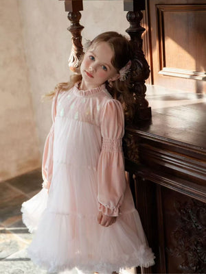 Girl Velvet Tulle Layered Dress